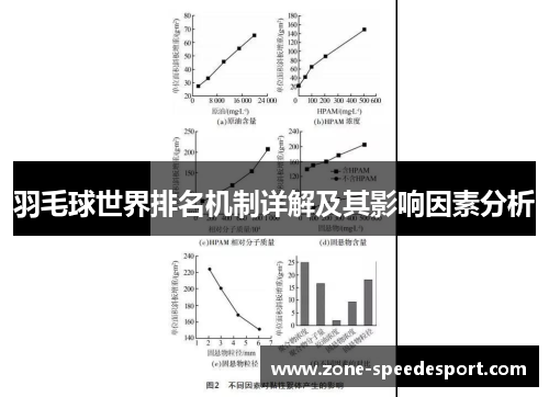 羽毛球世界排名机制详解及其影响因素分析