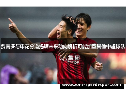 费南多与申花分道扬镳未来动向解析可能加盟其他中超球队 费南多与申花分道扬镳未来动向解析可能加盟其他中超球队