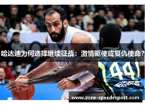 哈达迪为何选择继续征战：激情驱使或复仇使命？